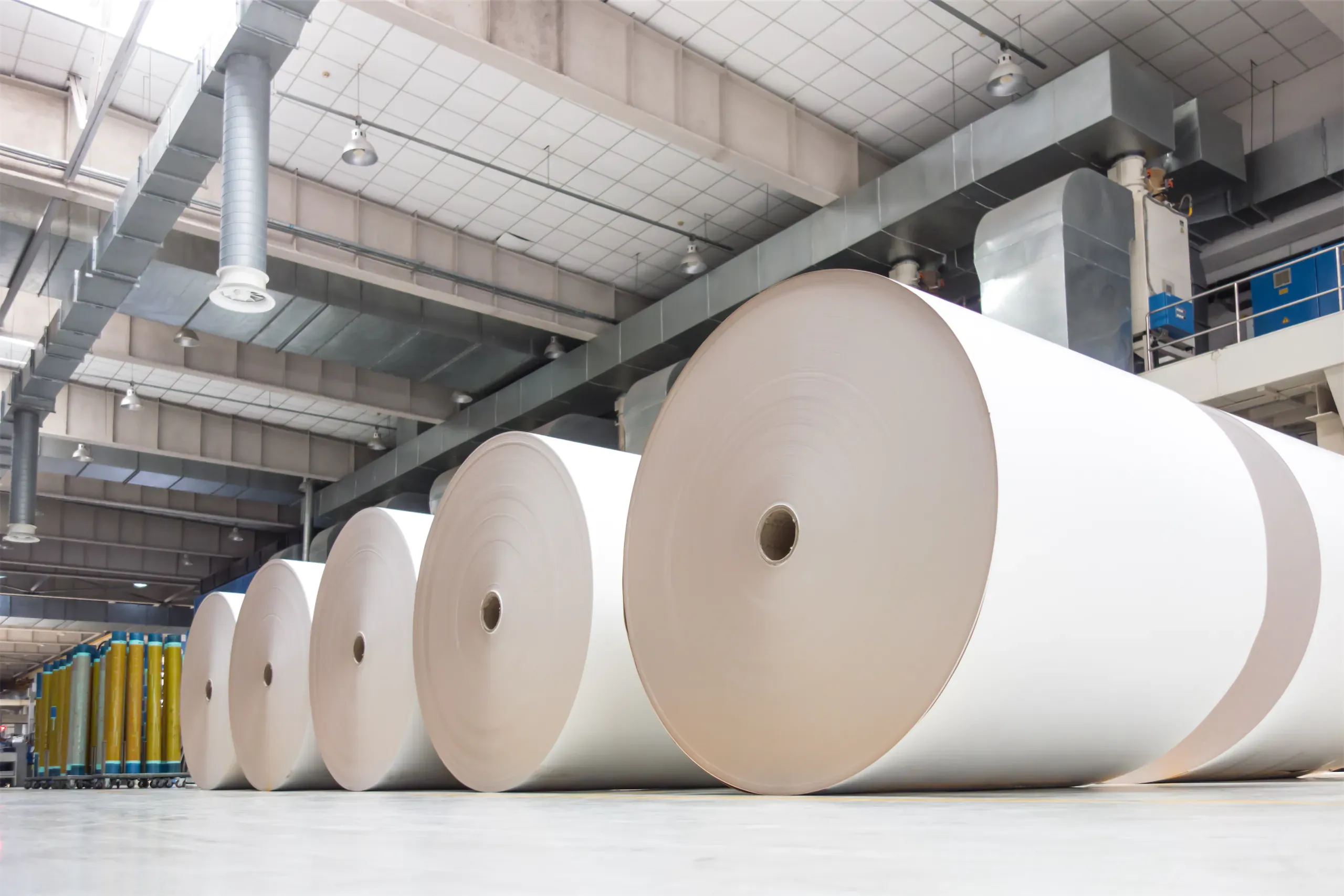 Many industrial-size rolls and stacks of paper wrapped and package in a large warehouse